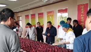 花牛蘋果高光效樹形構建關鍵技術集成研究與示范